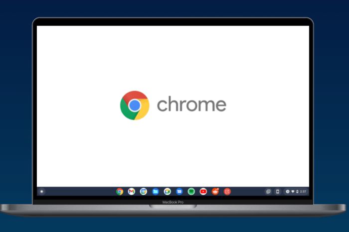 Install chrome macos