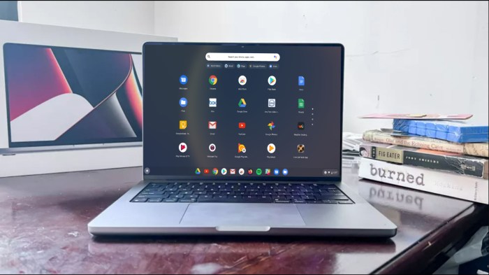 Google chrome installer for macbook air